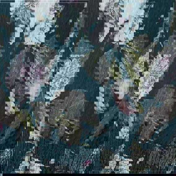 Green | Floral Frill Shirred Midi Dress