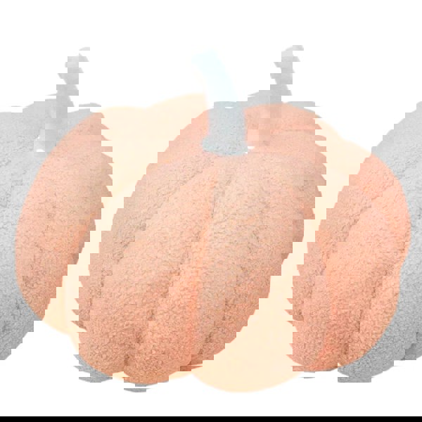 Anyhouz Anypillow Pink Lamb Fleece Pumpkin Plush Throw Pillow 28cm