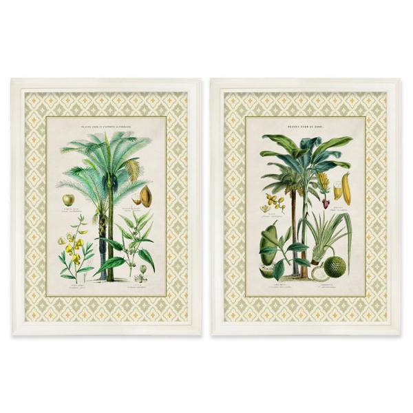 Exceptional Art c.1877 Plants Used as Food and Clothing with Tile Mount - Cream Hurstwood Frame