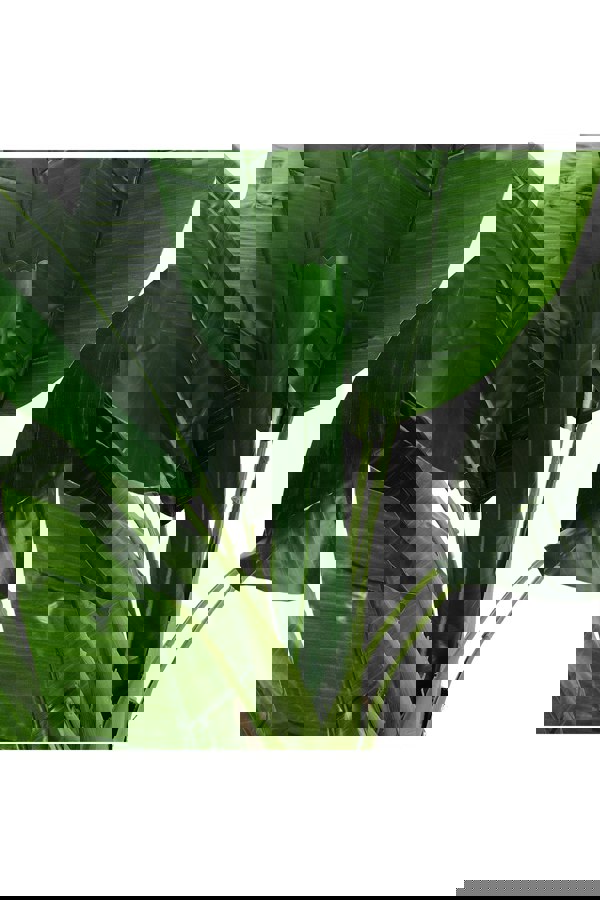 Living and Home Artificial Potted Banana Tree Home Decoration