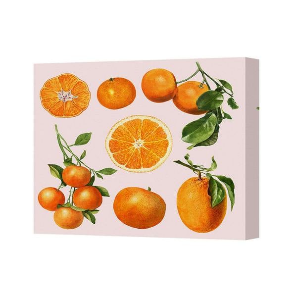 Benjamin Tate Design Orange Citrus Fruit Canvas Wall Art Pink Background Print