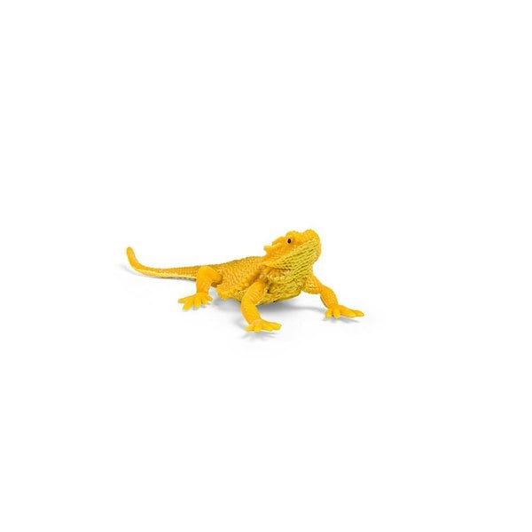 CollectA Box of Mini Reptiles & Amphibians