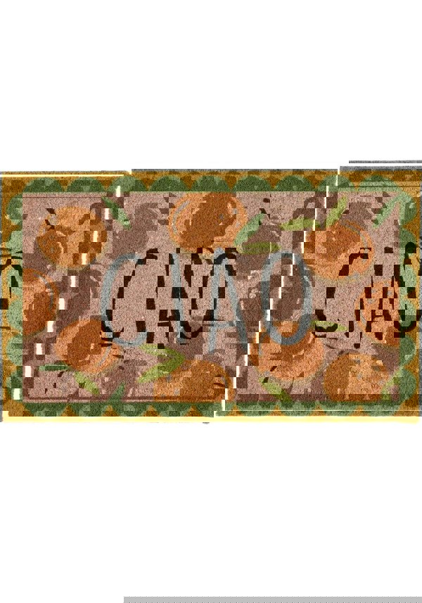 The Rugs Quality Colourful Natural Coir Doormat - 45x75cm