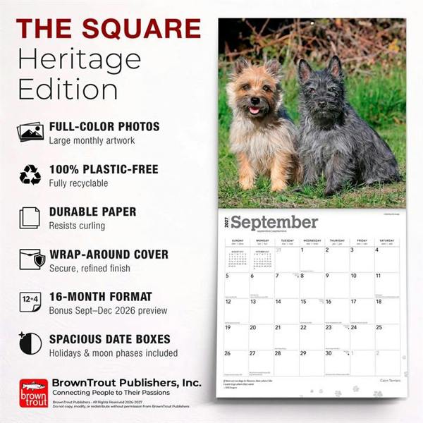 Cairn Terriers Calendar 2027, Wall Calendars, Month To View, Dogs, Gift