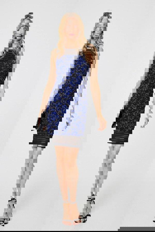 Blue | Floral Lace Sleeveless Semi Sheer Dress