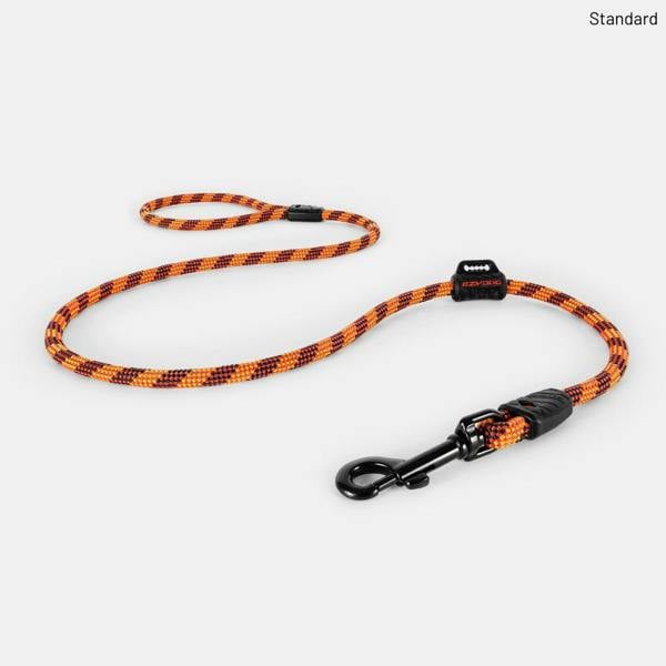 EzyDog Summit Dog Lead in Orange