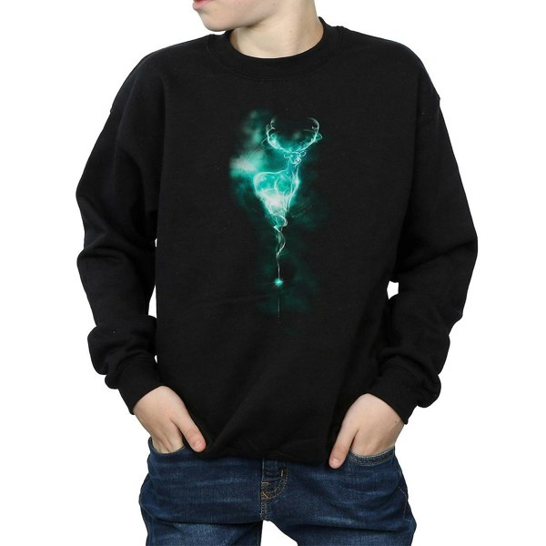 Harry Potter Boys Patronus Mist Stag Sweatshirt - Black