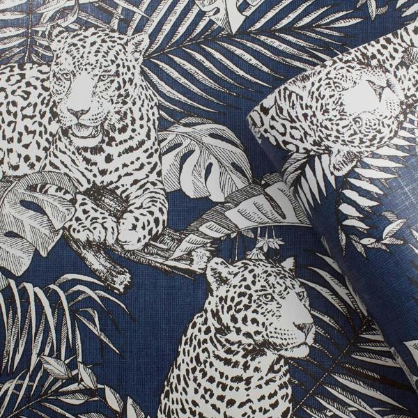 Darcy James Mamboa Blue Wallpaper image 5