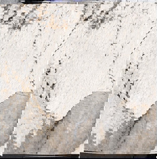 Nala Dining Table-Weilai Concept-Weilai Concept