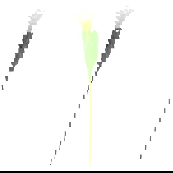 Hill Interiors The Natural Garden Collection Parrot Tulip Artificial Flower - White/Green - 