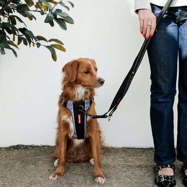 EzyDog Vario 4 Multi-Function Dog Lead in Black