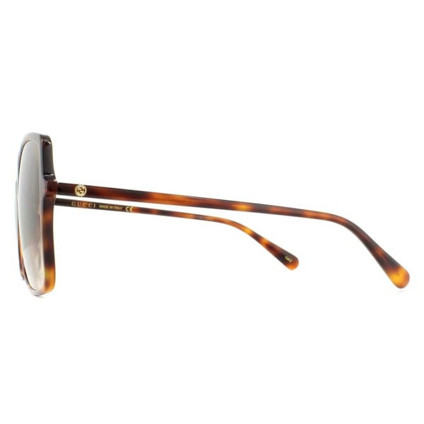 Gucci Sunglasses GG0544S 002 Havana Brown Gradient