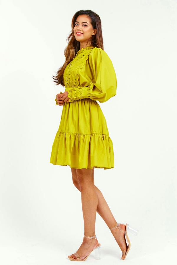 LuvForever Mustard Embroidered Ruffle Mini Dress