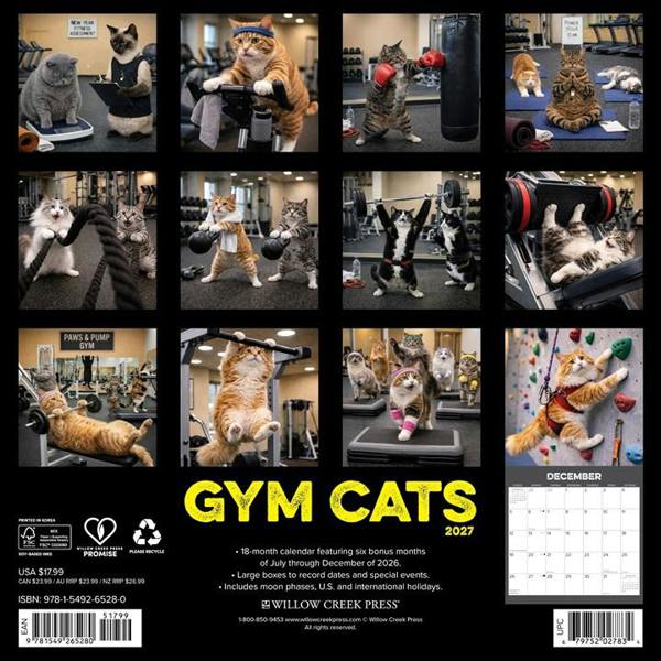 Gym Cats Calendar 2027, Wall Calendars, Month To View, Cats, Gift