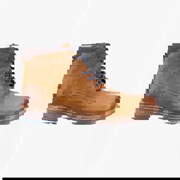 1677848456-99526800.jpg
