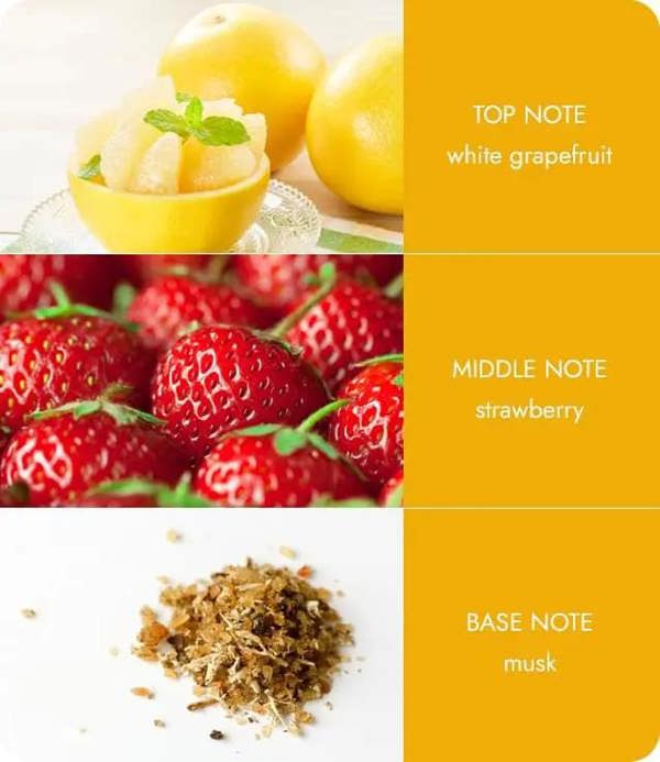 Heart & Home Citrus Grapefruit - Wax Melt