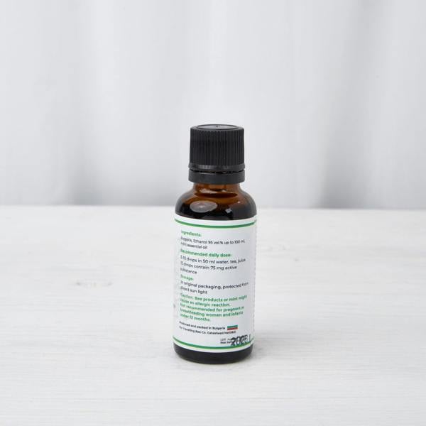 The Travelling Bee Co. Propolis Tincture with Mint