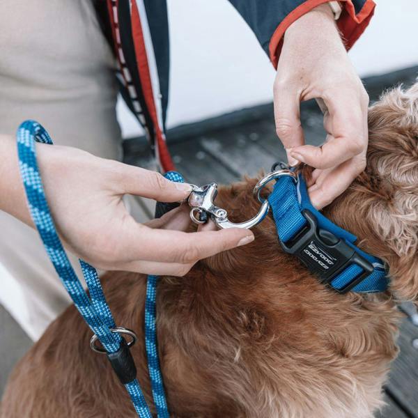 EzyDog Marine Dog Lead in Black
