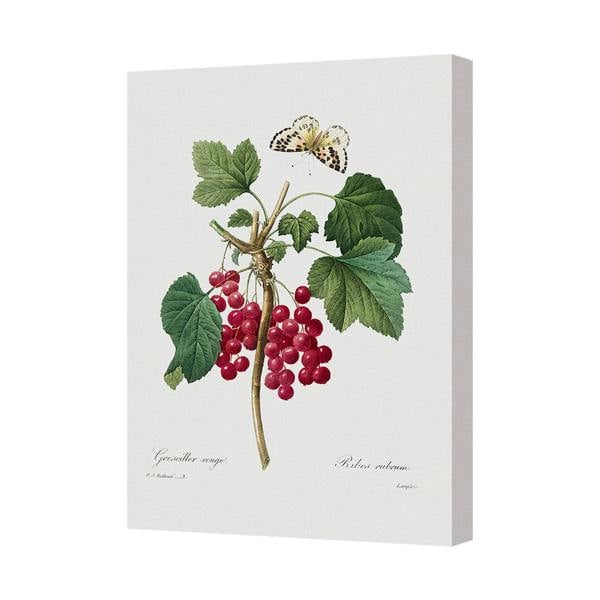 Benjamin Tate Design British Handmade Grapevine Canvas Print With Butterfly Wall Art