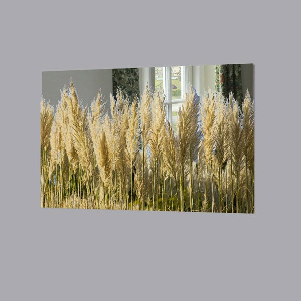 Benjamin Tate Design Pampus Grass (Mirror Art Print)