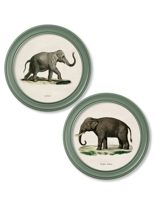 Exceptional Art c.1846 Elephants in Round Frame Green