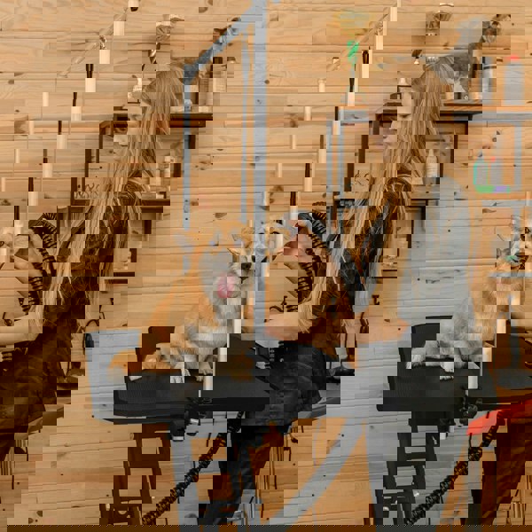 Monstershop Black Hydraulic Grooming Table - Black Table Top