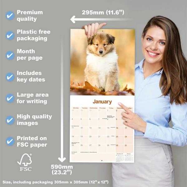 Collie Calendar 2027, Wall Calendars, Month To View, Dogs, Gift