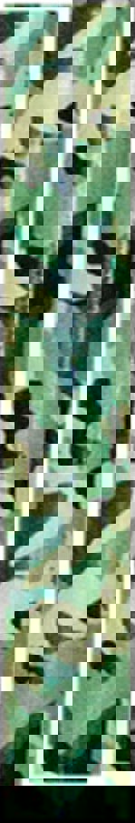 Aidapt Folding Walking Stick Camo