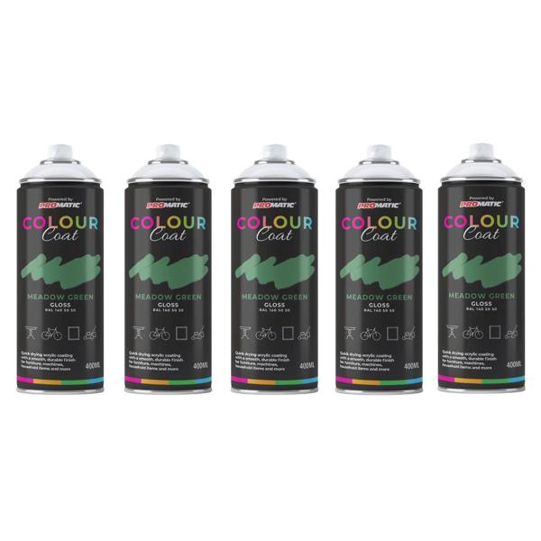 Colour Coat 5X Meadow Green RAL 140 50 50 Gloss Spray Paint 400ml