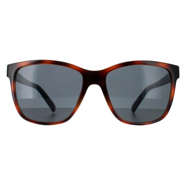 Smarty Sunglasses SB2315 C Tortoise Brown Blue Grey Blue