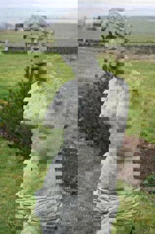 Large Venus de Milo style Garden Statuary