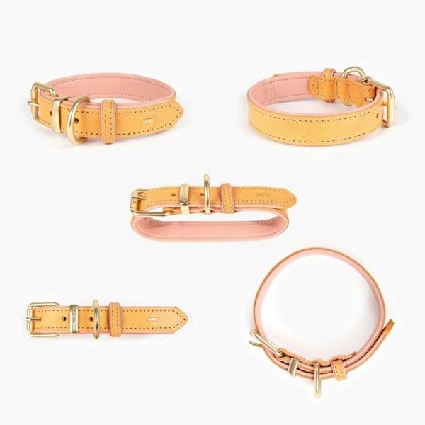 EzyDog Oxford Leather Classic Dog Collar in Pink