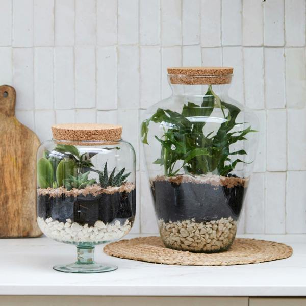 Ivyline Glass Footed Cork Lid Terrarium