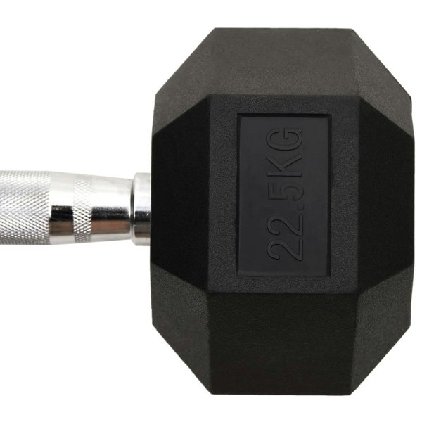 Berkfield Dumbbell 22.5 kg Cast Iron