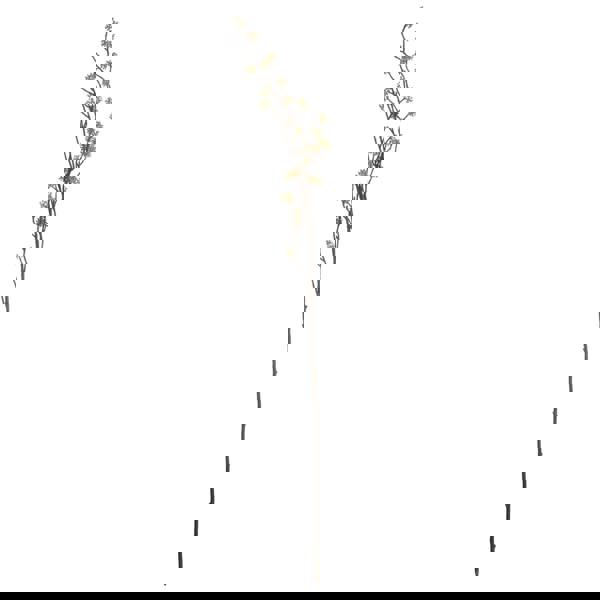 Hill Interiors Branch In Bloom Filler - Green - 