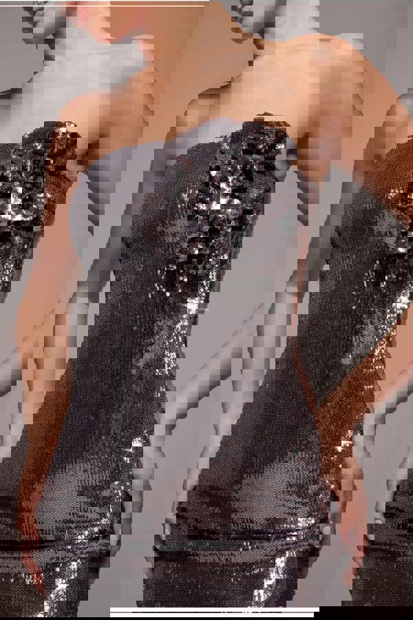 Liquid Sequin Boobtube Midaxi With Corsage - Silver DR4126