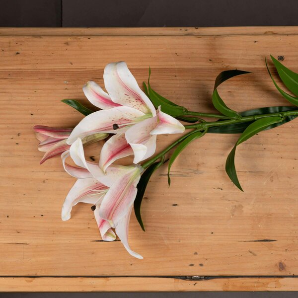 Wyld Haus Set of 3 Artificial Flowers Stargazer Lily Stems