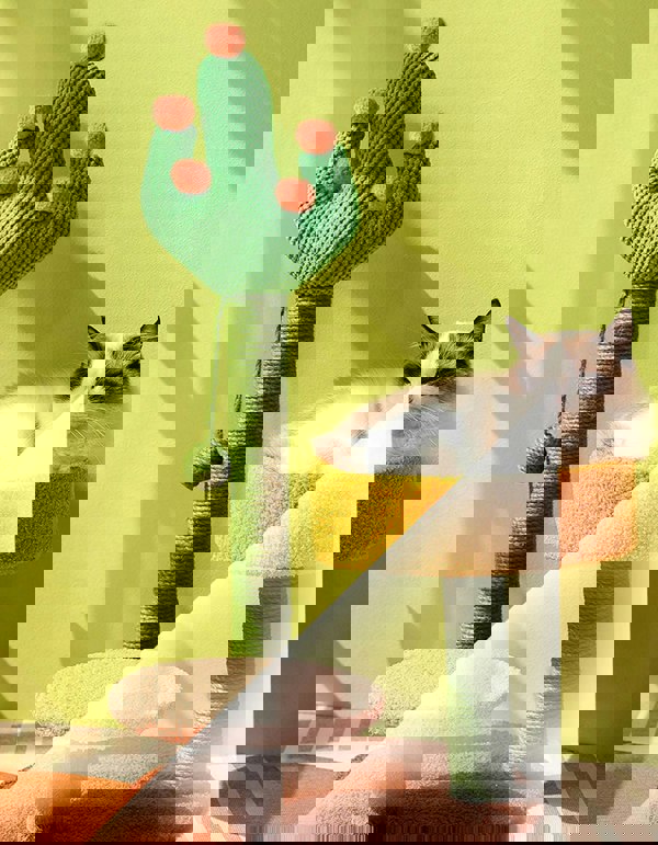 Ola's Cactus with Bed, Cat Toy, Climbing tree-Weilai concept-Weilai Concept