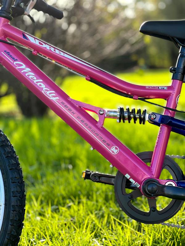 Dallingridge Melody 20" Girls Full Suspension Mountain Bike - Pink/Blue