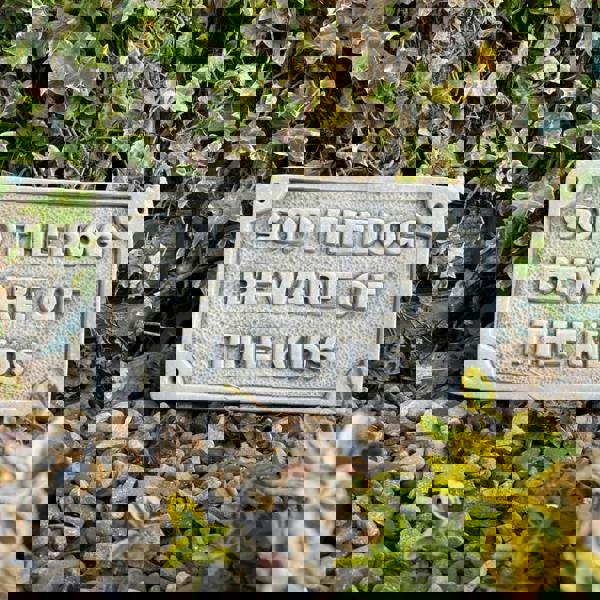 Beware of the Kids Stone Wall Plaque