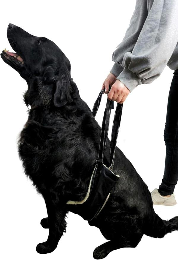 Adjustable Ergonomic Dog Harness – Reflective, With Handles - Optimum