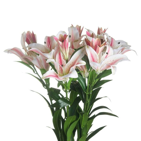 Hill Interiors Stargazer Lily - White/Pink