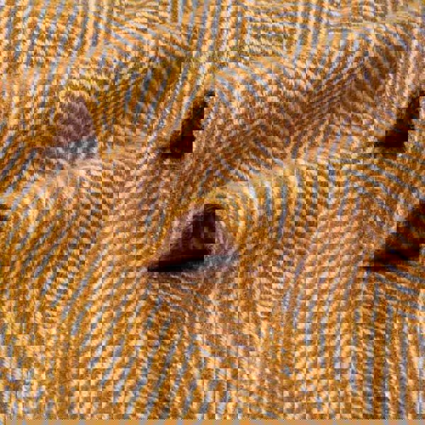 Evening Tales - Pure New Wool Blanket - Traditional Herringbone - Toffee - Heating & Plumbing London - Throw