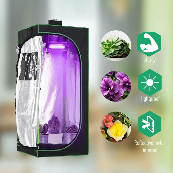 Black grow tent with green trim and reflective purple interior, with open door.