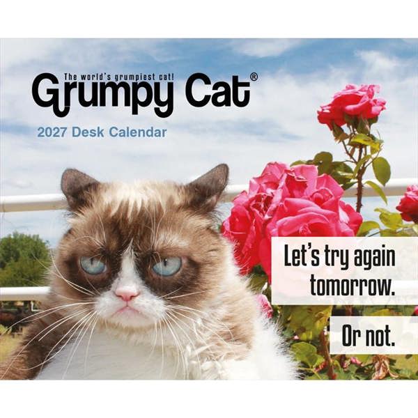 Unbranded Grumpy Cat Desk Calendar 2027, Desk Calendars, Day To View, Humour, Gift