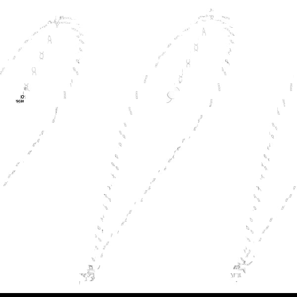 Mylee London Short-Haired Cat Silver Necklace - Personalised