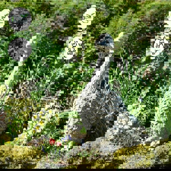 Detailed Stone Cast Goose Ornament