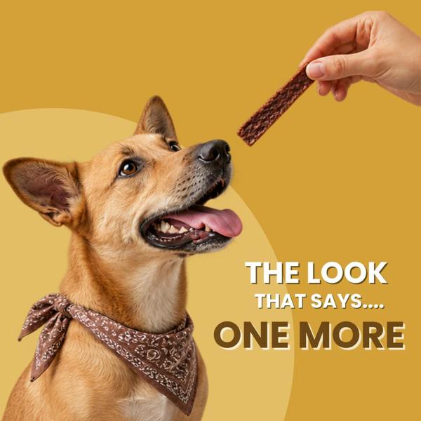 Favour Chicken Jerky Strips Dog Treats