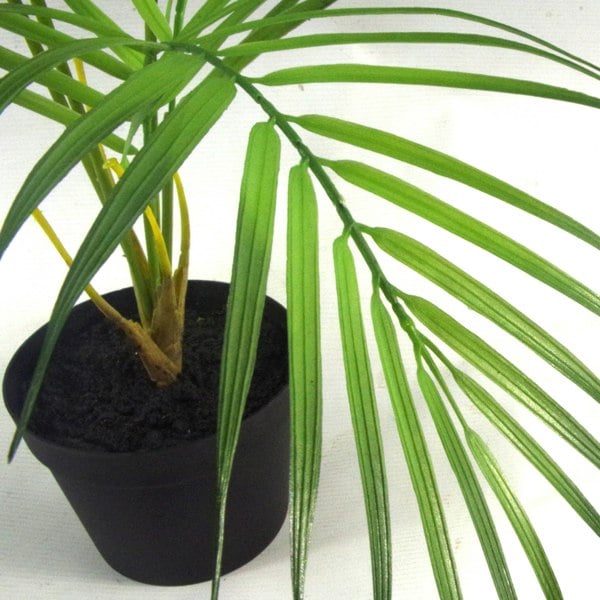 Leaf 50cm Artificial Palm Tree Plant - Compact Shape