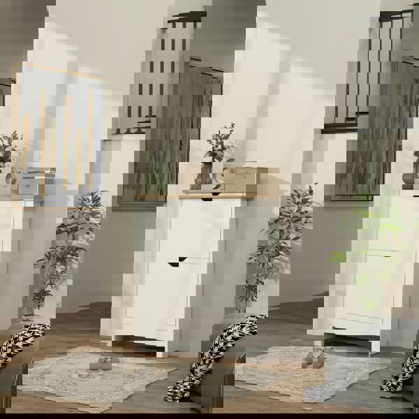 Flip-down Shoe Cabinet